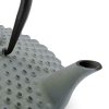 219398 5 cajova konvice s infuzerem xilin 1 25 l svetle zelena litina bredemeijer