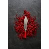 Nóż szefa kuchni AJAX RED SPIRIT 20 cm, F.Dick