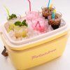 Lodówka turystyczna CLASSIC 20 l, stary róż, Polarbox